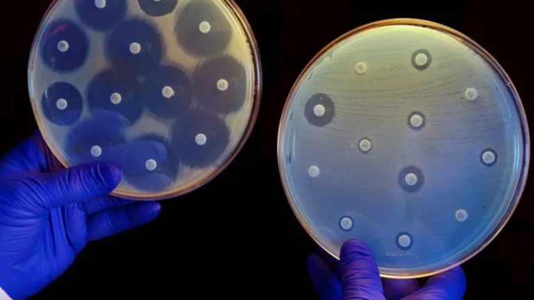 Científicos crean con IA nuevas moléculas para combatir superbacterias resistentes a antibióticos