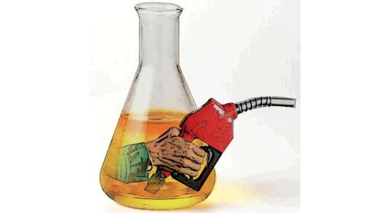 Biodiésel: la provincia de Santa Fe reclama por una producción trabada