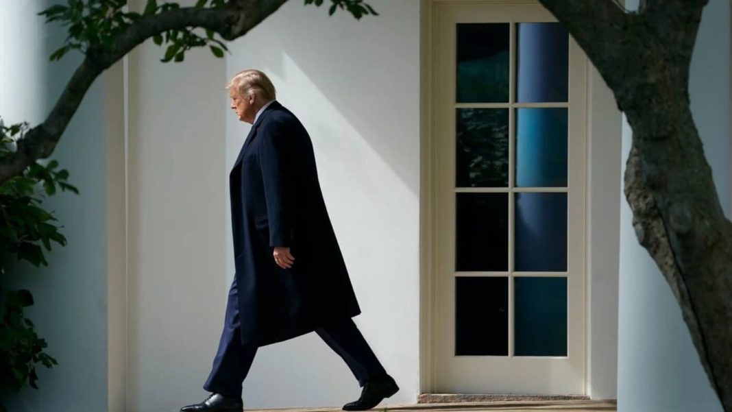trump (1)