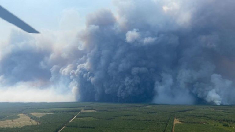 La 1ª misión que volará a través de las ‘nubes de fuego’ de los grandes incendios de bosques