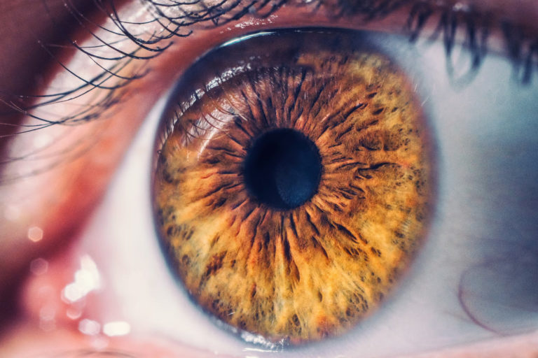 Oftalmólogos argentinos crean una solución para una de las cirugías de retina riesgosas