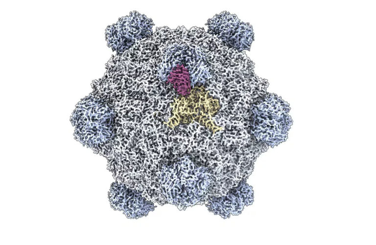 Una IA creó nuevos tipos de virus que no se encuentran en la naturaleza