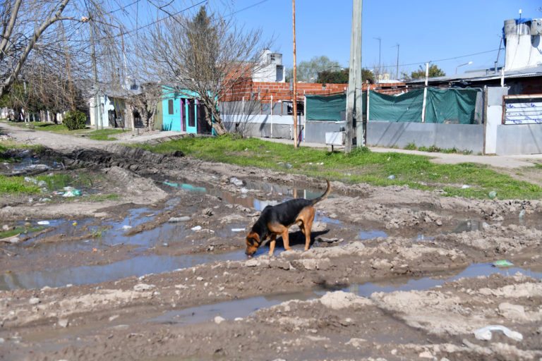 Milei enfrenta denuncias por cubrir déficit con fondos asignados por ley a obras públicas