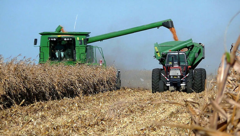 Boon en el agro: los precios de soja, trigo, maíz y girasol tocan máximos en el mercado internacional