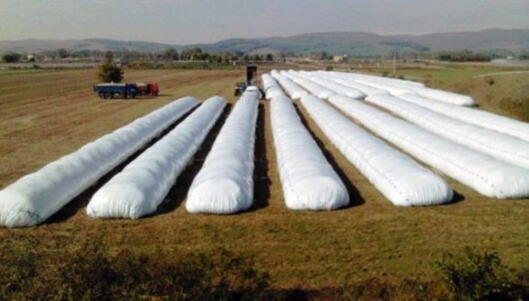 Productores venden 1,1 millones de toneladas de maíz y retienen soja por US$ 12.150 millones