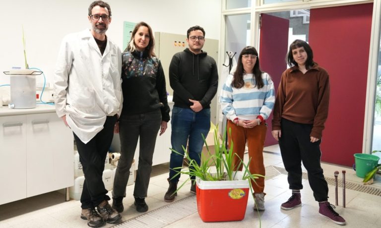 Humedales artificiales para sanear el río Reconquista