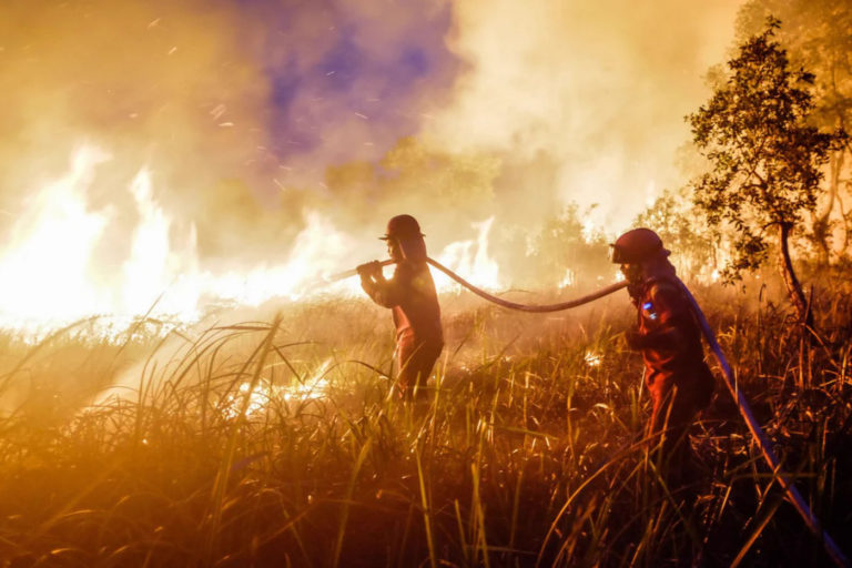 Nature: El super El Niño ya está causando estragos: esto es lo que nos espera