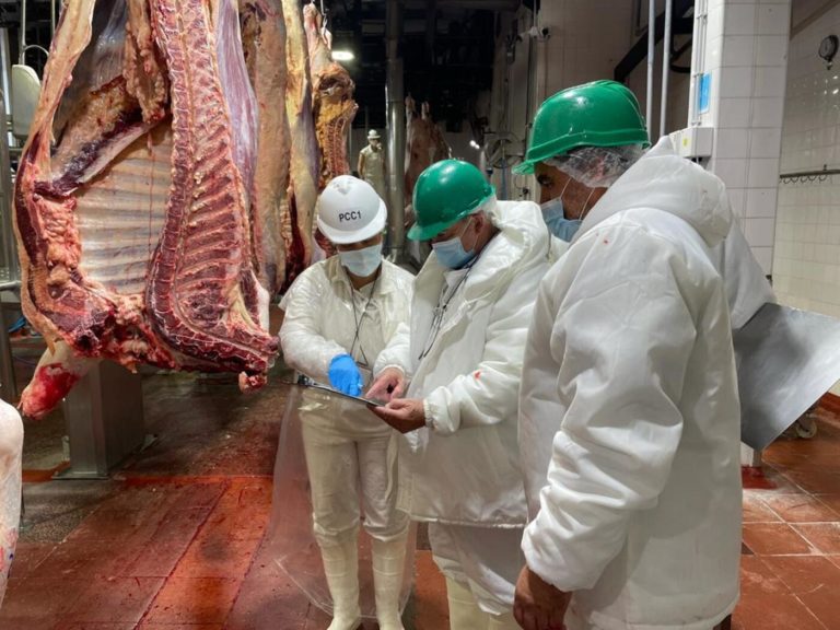 Una oportunidad para la carne argentina en China: una brecha de 60 días