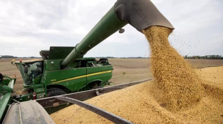 La maquinaria agrícola china gana terreno en Argentina. Explora alianzas con empresas locales