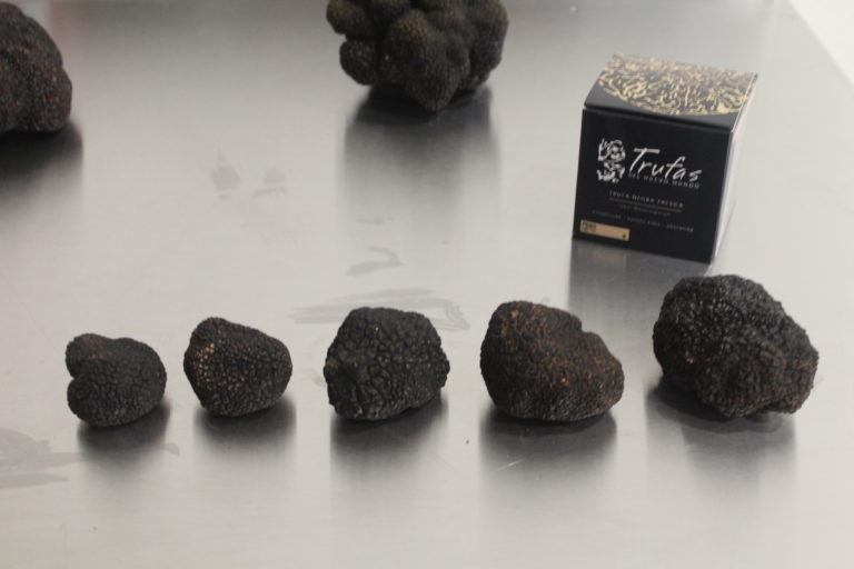 Producen trufas, que pueden llegar a los u$s 2.000 el kilo, que no tienen nada que envidiarle a Europa
