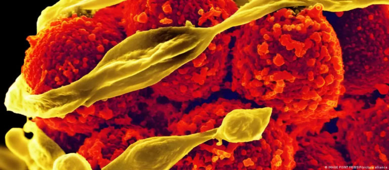 La IA abre nuevas posibilidades en la búsqueda de antibióticos