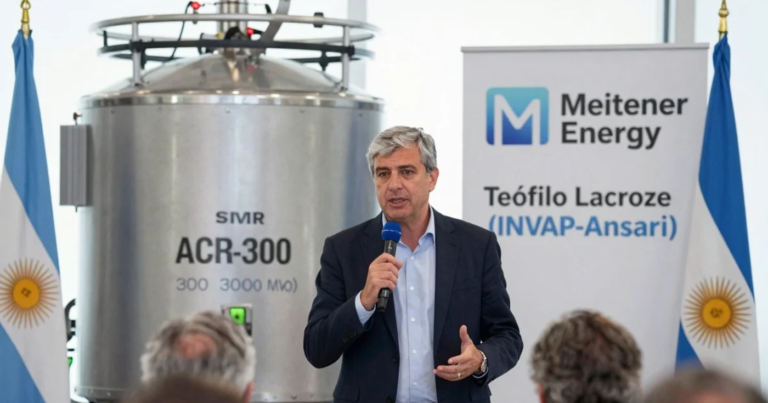 Nucleoeléctrica no construirá la 4ª central nuclear con China y abre la puerta a Meitner Energy