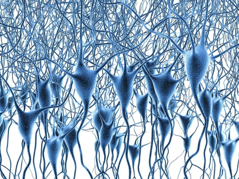 Mapa histórico de la actividad génica del cerebro humano contiene pistas sobre la enfermedad de Alzheimer